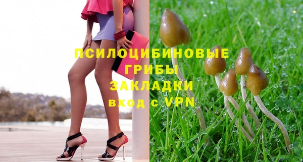 тгк Михайлов