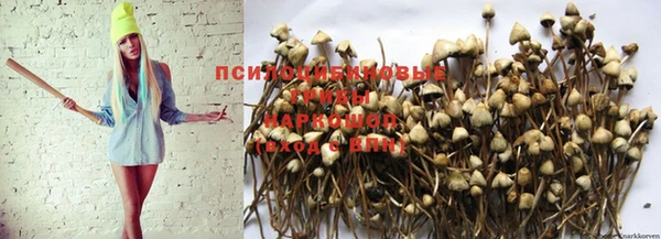тгк Михайлов