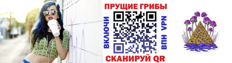 это как зайти  Тавда  Псилоцибиновые грибы мухоморы  hydra рабочий сайт 