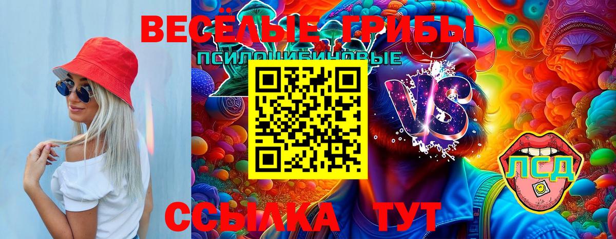 Тавда  Галлюциногенные грибы прущие грибы  Вход с VPN  Псилоцибиновые грибы мухоморы 